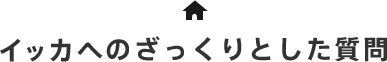 イッカへのざっくりとした質問