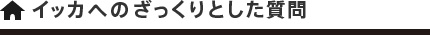 イッカへのざっくりとした質問